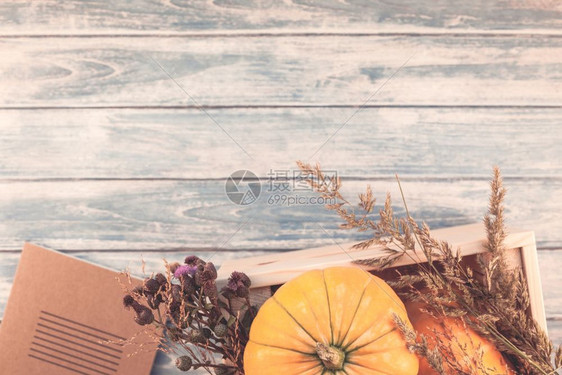 壁球乡村的平坦秋季橙南瓜干鲜花和草的顶端景象盒式感恩背景蓝铁制木板桌带回秋季收成情调空间模板图片