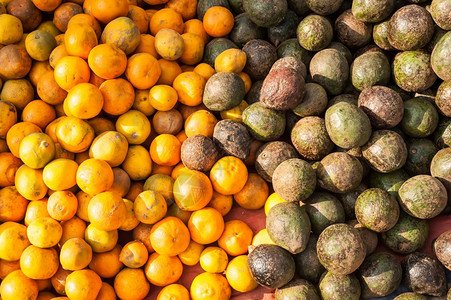 收成亚洲人供户外述市场销售的有机鳄梨和柑橘果类水食物图片
