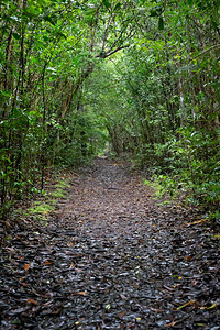 山热带风景优美马达加斯岛上绿色田野和风景的照马达加斯岛上绿色田野和风景的照图片