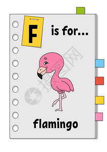 排版绘画F是为孩子们的FlamamingoABC游戏为Flamingo为孩子的Word和字母学习用英语卡通字符学习词汇可爱的图片