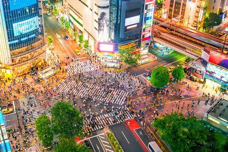 商业从日本东京黄昏时的顶端观点横渡夜晚争夺图片