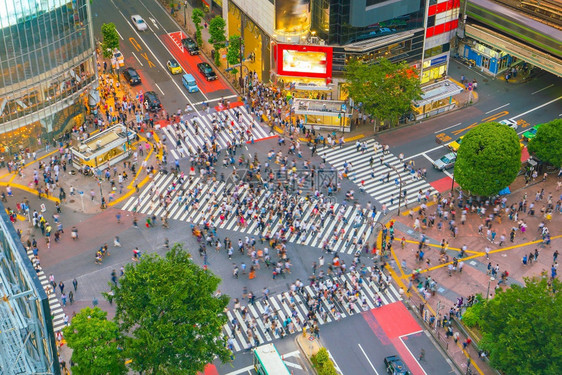 从日本东京黄昏时的顶端观点横渡最佳风景街道图片