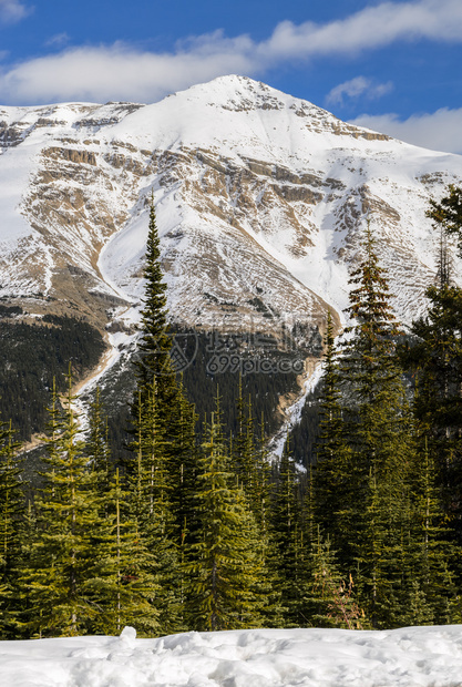 爬坡道弓对加拿大在艾伯塔州班夫公园的雪峰落冰山脉景象从Bow山顶到加拿大视野棕色的图片