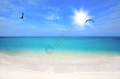 美丽热的加勒比海阿鲁巴BocaGrandi海滩的绿松水和白沙图片