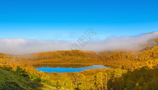 秋天的美丽森林湖图片