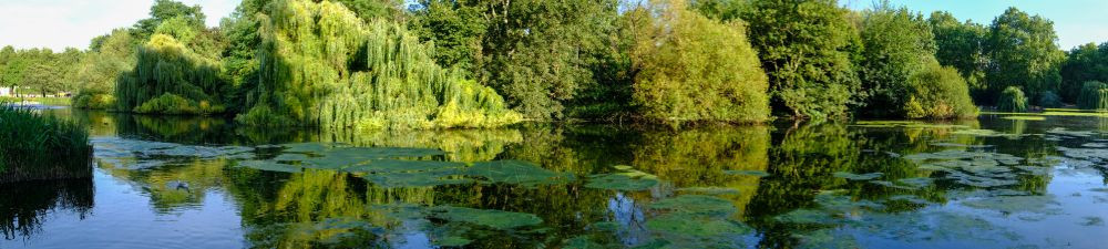 绿色黄的英国伦敦圣詹姆斯公园全景夏天下午的美景一时好色威斯敏特图片