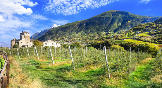 地标公园令人印象深刻的阿尔卑斯山脉城堡和葡萄园的风景山谷意大利北部Aosta花园图片