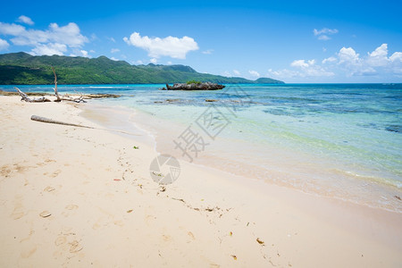 沙滩海洋风景线图片