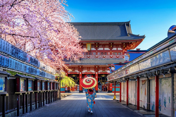 樱花入口门在日本东京寺庙穿传统和服的亚裔妇女图片