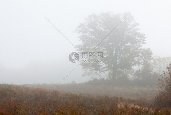 公园十月一美国纽约的丽瀑布风景图片