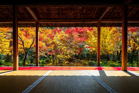 日本京都Enkoji寺庙秋天美丽的花园假期地标建筑学图片