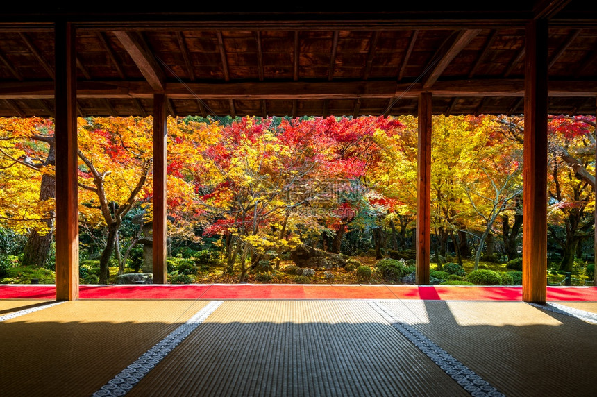 日本京都Enkoji寺庙秋天美丽的花园假期地标建筑学图片