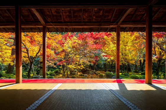 日本京都Enkoji寺庙秋天美丽的花园假期地标建筑学图片