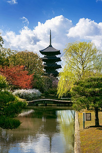 建筑学东治世界日本京都Toji寺庙塔图片