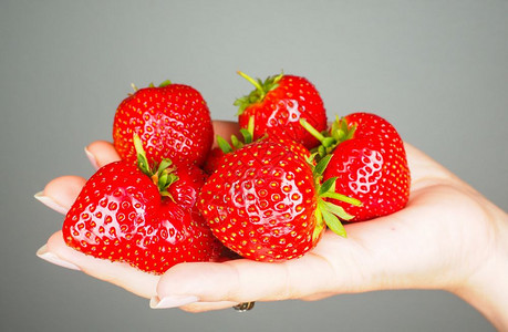 素食主义者保持充满活力的红鲜嫩成熟草莓被灰色背景所隔离图片