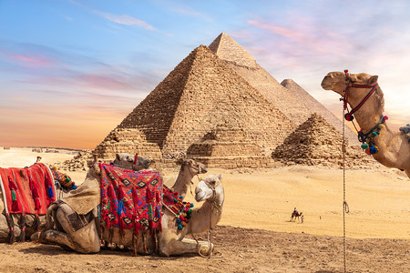 旅游埃及吉萨金字塔附近的埃及卡梅尔吉扎金字塔附近的埃及卡梅尔纪念碑呸图片