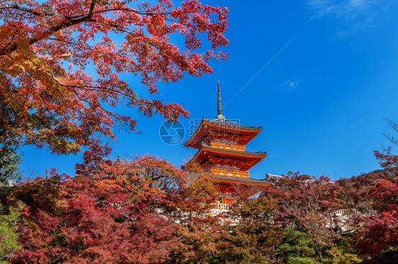 日本京都秋天清水市亚洲人东京黄昏图片