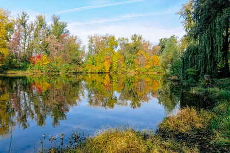 秋水中树木的反射池塘oopicapi湖背景图片