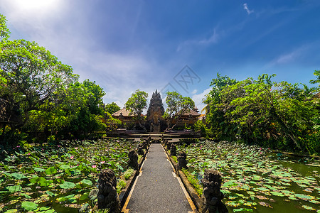 地点遗产印度尼西亚巴厘岛乌布德PuraSaraswati印度教寺庙附近用莲花绘制的令人惊异池塘景象开花图片