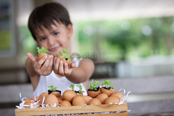 负责任的在卵壳中生长幼苗描绘了我们环境的脆弱说明我们环境的脆弱社会年轻图片