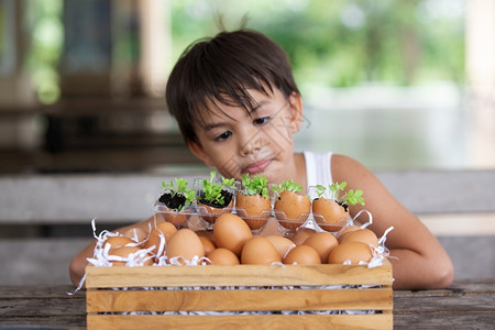 鸡蛋壳里培植植物的孩子图片