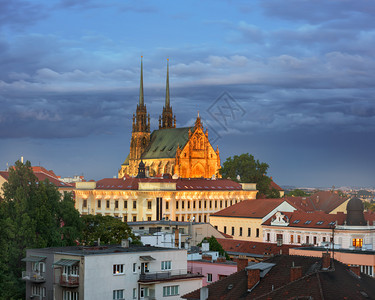 天际线建造晚间圣彼得和保罗大教堂捷克布尔诺Brno树图片
