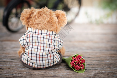 玩具优质的泰迪熊在情人节概念中拿着一束玫瑰花有写空间AF点选择和模糊的文调形象为了图片
