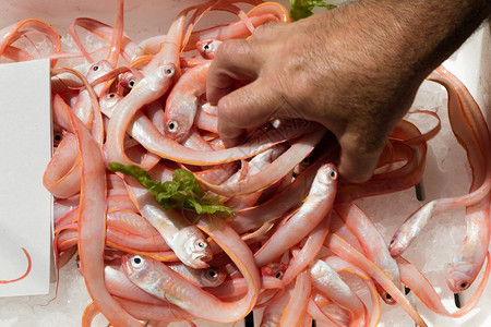 蔚蓝在那不勒斯开放市场中地海鱼类的西波洋葱商人自然图片