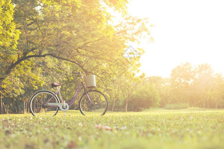 景观户外休息自行车在公园里图片