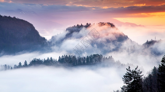 山上弥漫着惊人雾的日出全景旅行游秋天图片
