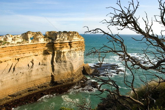 水澳大利亚南维多州崎岖不平的海岸线石灰形成图片