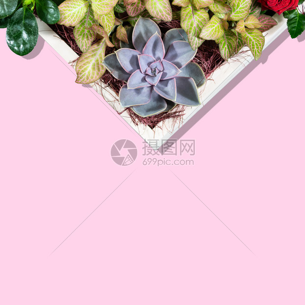 爱情人节概念粉红色背景上的木质花朵带有复制空间平躺顶视图模板用于打印卡片传单装饰风格粉色的图片