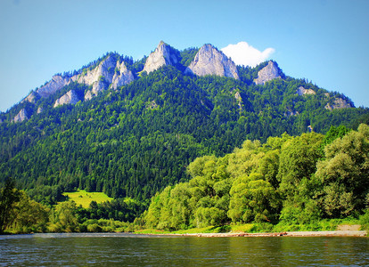 旅行欧洲Dunajec河和三冠峰夏季在Pieniny山脉波兰Dunajec山脉波兰生态系统图片