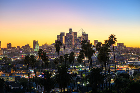 建筑学物美丽的夕阳穿过棕榈树加州洛杉矶地标图片