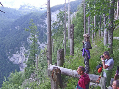 一群游客在山间停下来观看自然景的人游客在山间休息游客欣赏斯洛文尼亚阿尔卑斯山的景一群游客在山间停下来观看自然景爬坡道男人徒步旅行图片