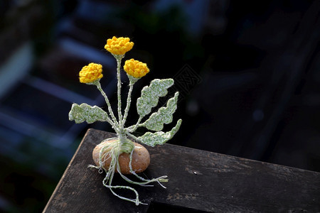 编织花根茎缠在卵石上图片