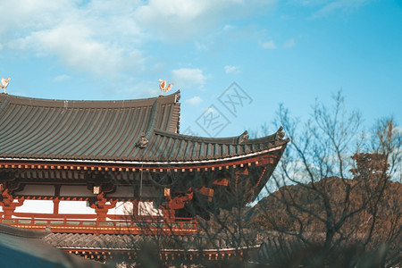遗产日本京都Uji市著名的佛教寺庙比约多安的凤凰宫大厦佛教徒关西图片