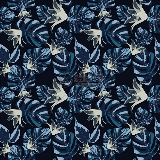 热带外来植物灰花和深蓝叶子怪物a无缝黑色背景Trindy夜色矢量构成抽象的花朵图片