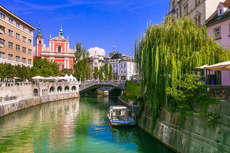 大教堂巴洛克式美丽的浪漫卢布尔雅那首都斯洛文尼亚市配有美妙的运河场景图片