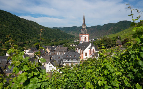 天莱茵兰普法尔茨市中心德国Moselle河附近葡萄园内EdigerEller村的全景图象图片