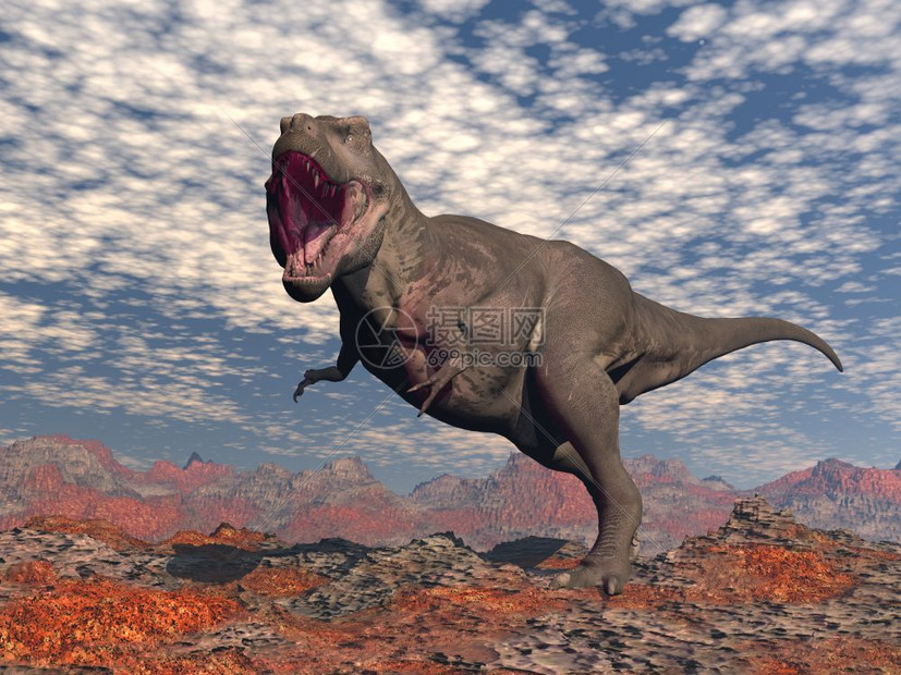 经过肉食动物强的暴龙雷克斯在阴天红色沙漠中咆哮3D渲染霸王龙在红色沙漠中咆哮渲染图片