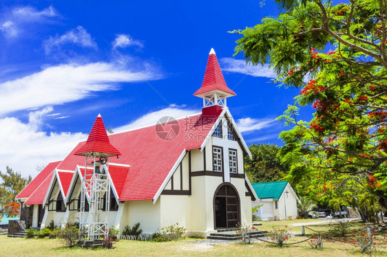 印度人美丽的毛里求斯岛屿地标红教堂在毛里求斯岛以北有盛开花丛茂的鲜艳树种著名小教堂塔图片