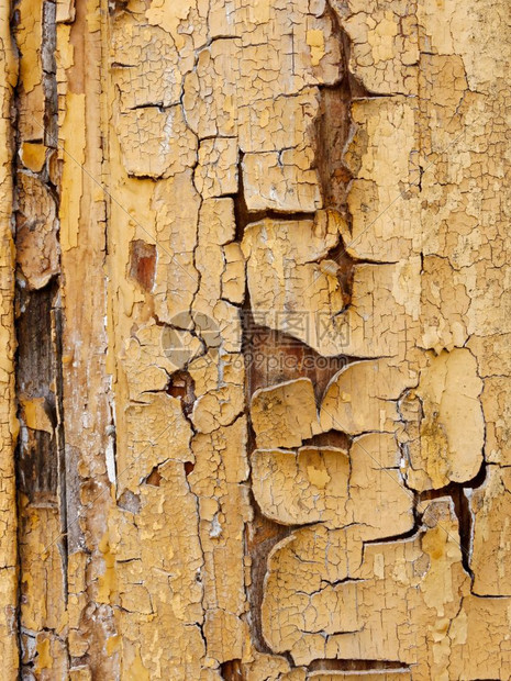 裂缝邋遢木制表面的旧晶漆近身抽象图案白纸涂料老饼干古怪的图片