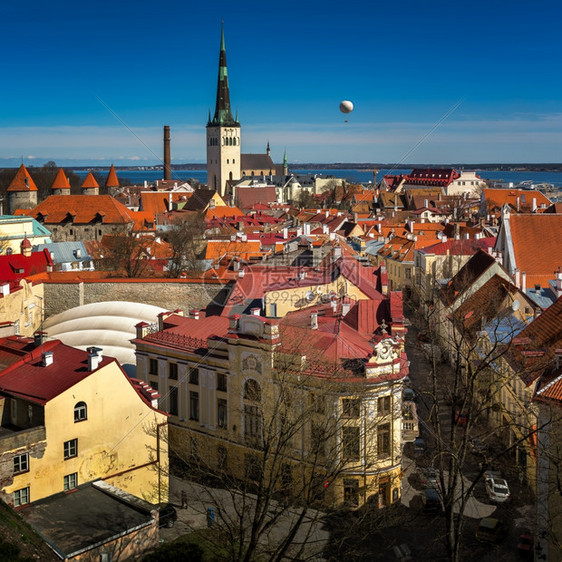 历史标志的欧洲爱沙尼亚塔林老城和奥拉维斯特教堂空中观察爱沙尼亚塔林图蒙贝山图片