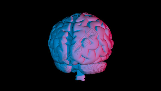 渲染3D人脑计算机模型的3D成像人工智能概念和从医学摄影仪器上关于大脑结构的数据概念人类大脑计算机模型的3D器官神经病学图片