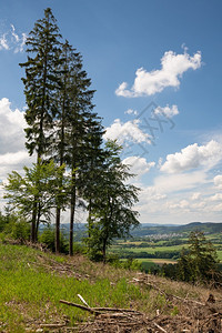 前景云德国温特堡附近Sauerland地区的景观在德国浅地有树木假期图片