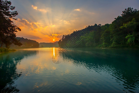 松树清晨泰国梅宏松省日出雾中PangUngPangTong水池的亮光森林背景概念旅行洪反射图片