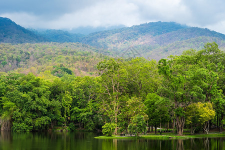 旅行美丽树AngKaew清迈大学自然森林中的湖风景山地观蓝天与白云的春背景图片