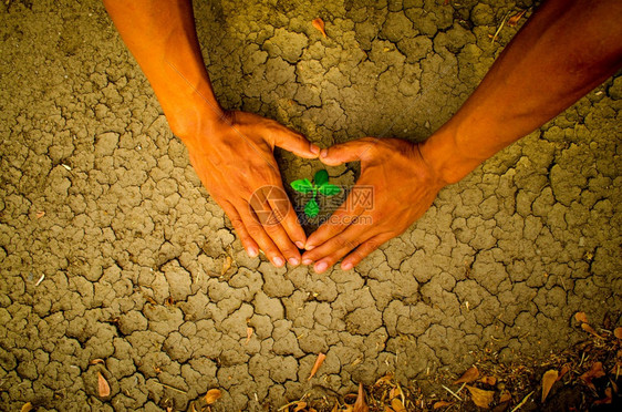 裂缝在破碎的大地上生长树周围形成心脏状的手地面闪电图片