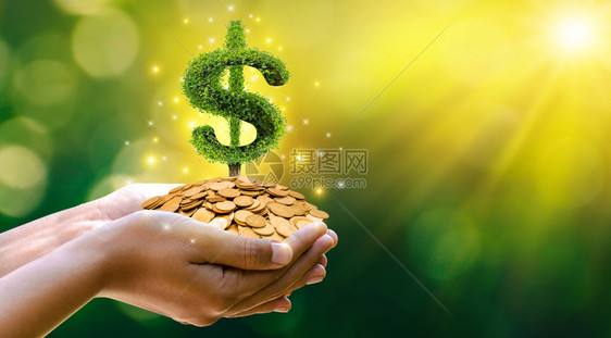 财富金融管理为未来的投资念和商业增长省钱绿色背景和阳光明媚的绿化背景树长在堆积上bokehsun图片